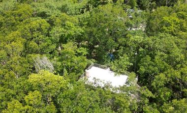 TERRENO VENTA PUEBLO SACBE PLAYA DEL CARMEN COMUNIDAD ECO SUSTENTABLE CON CENOTE