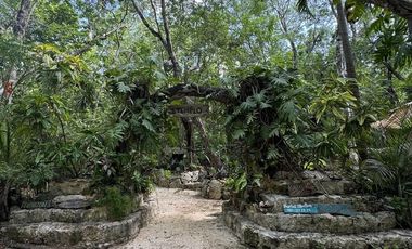 TERRENO VENTA PUEBLO SACBE PLAYA DEL CARMEN COMUNIDAD ECO SUSTENTABLE CON CENOTE