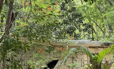 TERRENO VENTA PUEBLO SACBE PLAYA DEL CARMEN COMUNIDAD ECO SUSTENTABLE CON CENOTE