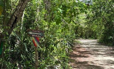 TERRENO VENTA PUEBLO SACBE PLAYA DEL CARMEN COMUNIDAD ECO SUSTENTABLE CON CENOTE
