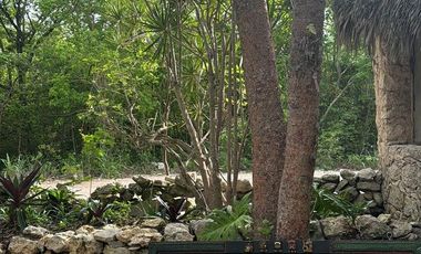 TERRENO VENTA PUEBLO SACBE PLAYA DEL CARMEN COMUNIDAD ECO SUSTENTABLE CON CENOTE
