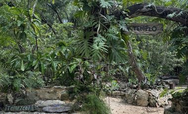 TERRENO VENTA PUEBLO SACBE PLAYA DEL CARMEN COMUNIDAD ECO SUSTENTABLE CON CENOTE