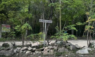 TERRENO VENTA PUEBLO SACBE PLAYA DEL CARMEN COMUNIDAD ECO SUSTENTABLE CON CENOTE