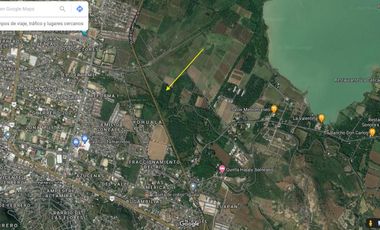 VENTA TERRENO HUERTA DE MANGOS EN IGUALA 3.5 HECTAREAS