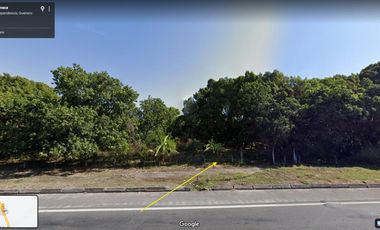 VENTA TERRENO HUERTA DE MANGOS EN IGUALA 3.5 HECTAREAS