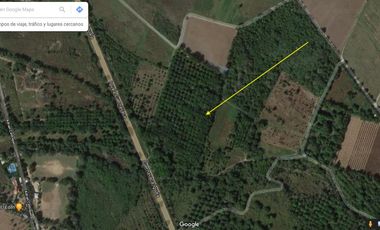 VENTA TERRENO HUERTA DE MANGOS EN IGUALA 3.5 HECTAREAS