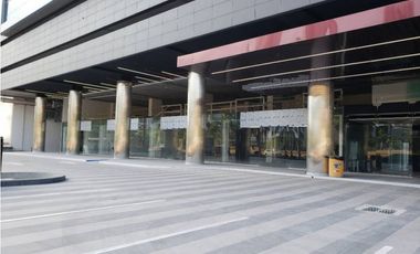 Se Alquila Local Costa del Este 248 Mts $5.700.oo