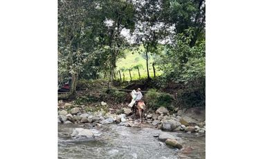 VENDO FINCA DE 145HECTAREAS RENACIMIENTO