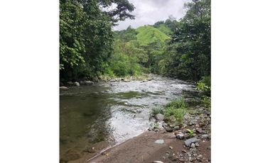 VENDO FINCA DE 145HECTAREAS RENACIMIENTO