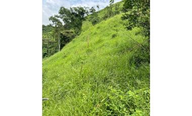 VENDO FINCA DE 145HECTAREAS RENACIMIENTO