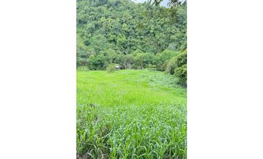 VENDO FINCA DE 145HECTAREAS RENACIMIENTO