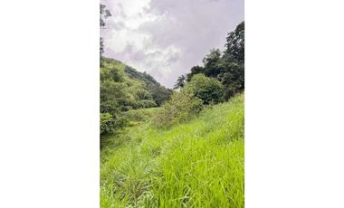 VENDO FINCA DE 145HECTAREAS RENACIMIENTO