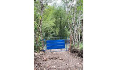 VENDO FINCA DE 145HECTAREAS RENACIMIENTO