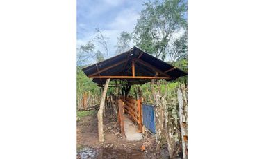 VENDO FINCA DE 145HECTAREAS RENACIMIENTO