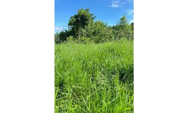VENDO FINCA DE 145HECTAREAS RENACIMIENTO