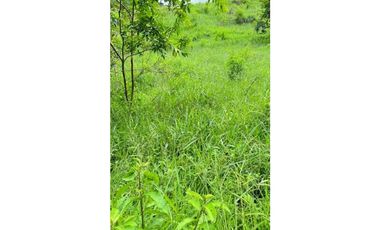 VENDO FINCA DE 145HECTAREAS RENACIMIENTO