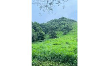 VENDO FINCA DE 145HECTAREAS RENACIMIENTO