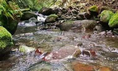 Sitio en Venta en Parcelación sustentable consciente con el medio Ambiente. Invierta en Vida