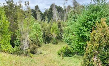 Sitio en Venta en Parcelación sustentable consciente con el medio Ambiente. Invierta en Vida