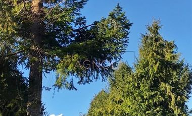 Parcela en Venta en Parcelación sustentable consciente con el medio Ambiente. Invierta en Vida