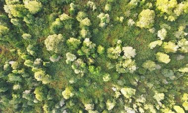 Parcela en Venta en Parcelación sustentable consciente con el medio Ambiente. Invierta en Vida