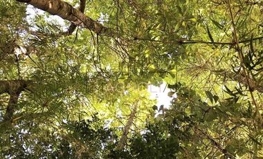 Parcela en Venta en Parcelación sustentable consciente con el medio Ambiente. Invierta en Vida