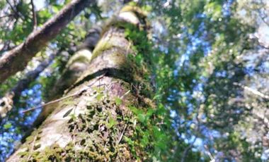 Parcela en Venta en Parcelación sustentable consciente con el medio Ambiente. Invierta en Vida