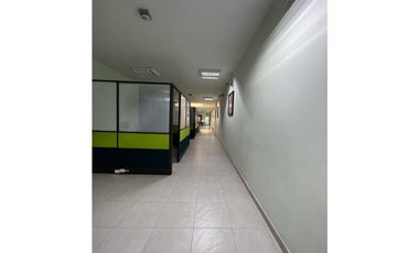 BODEGA MEDELLIN EL PALO CON SAN JUAN