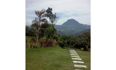 VENDEMOS FINCA EN AMAGA