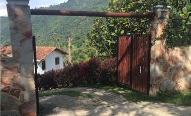 VENDEMOS FINCA EN AMAGA