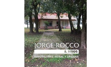 Campo en venta en San Vicente. 390 Has. mixto