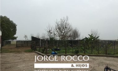 Campo en venta en San Vicente. 390 Has. mixto