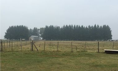 Campo en venta en San Vicente. 390 Has. mixto