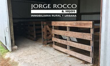 Campo en venta en San Vicente. 390 Has. mixto