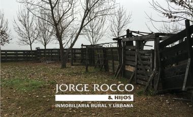 Campo en venta en San Vicente. 390 Has. mixto