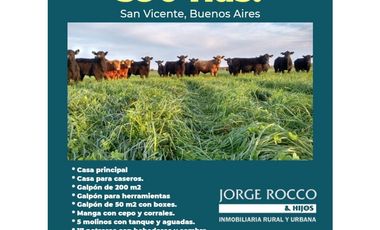 Campo en venta en San Vicente. 390 Has. mixto