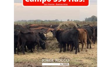 Campo en venta en San Vicente. 390 Has. mixto