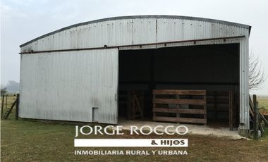 Campo en venta en San Vicente. 390 Has. mixto