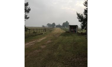 Campo en venta en San Vicente. 390 Has. mixto