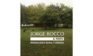 Campo en venta en San Vicente. 390 Has. mixto