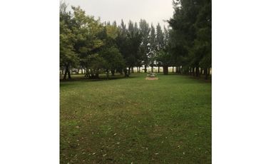 Campo en venta en San Vicente. 390 Has. mixto
