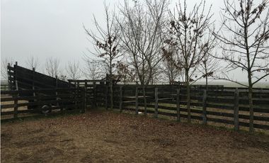 Campo en venta en San Vicente. 390 Has. mixto