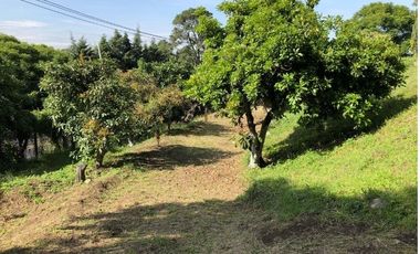 TERRENO CARRETERA  FEDERAL MEXICO-CUAUTLA