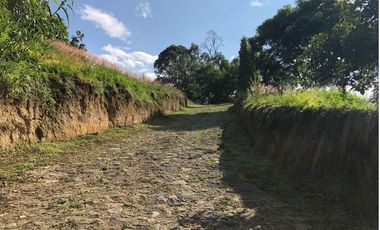 TERRENO CARRETERA  FEDERAL MEXICO-CUAUTLA