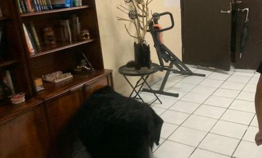 LOCAL COMERCIAL EN VENTA EN EL CENTRO DE MONTERREY NUEVO LEON