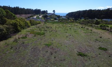 AV LOS PESCADORES 1855 COSTA QUILEN