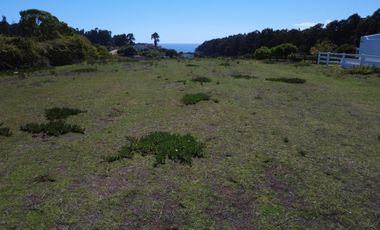 AV LOS PESCADORES 1855 COSTA QUILEN