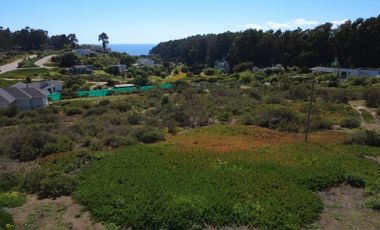 AV LOS PESCADORES 1855 COSTA QUILEN