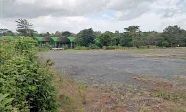 SE ALQUILA LOTE EN LA CHORRERA