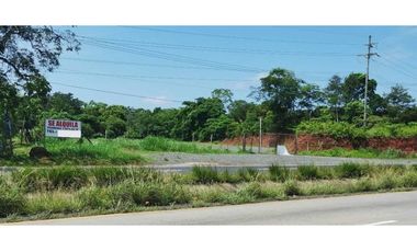 SE ALQUILA LOTE EN LA CHORRERA